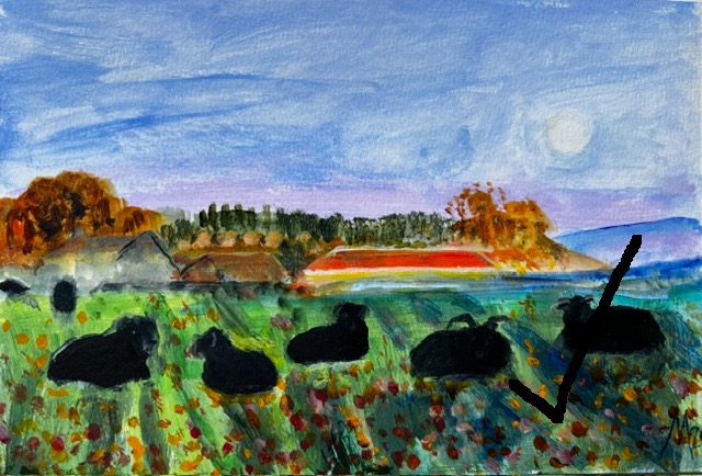 Evening View of Gelligarn Farm with Hebridean Sheep