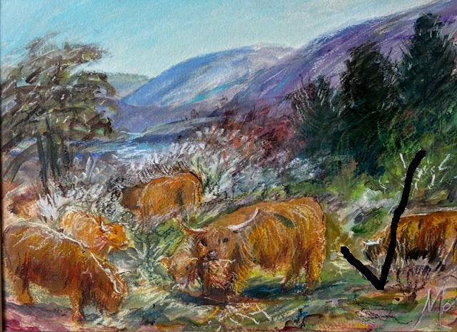 Highland Cattle